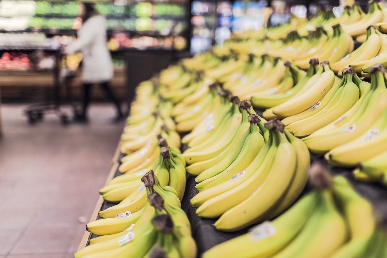 💀 Cacao au cuivre, bananes au plomb... les conséquences d'une catastrophe écologique
