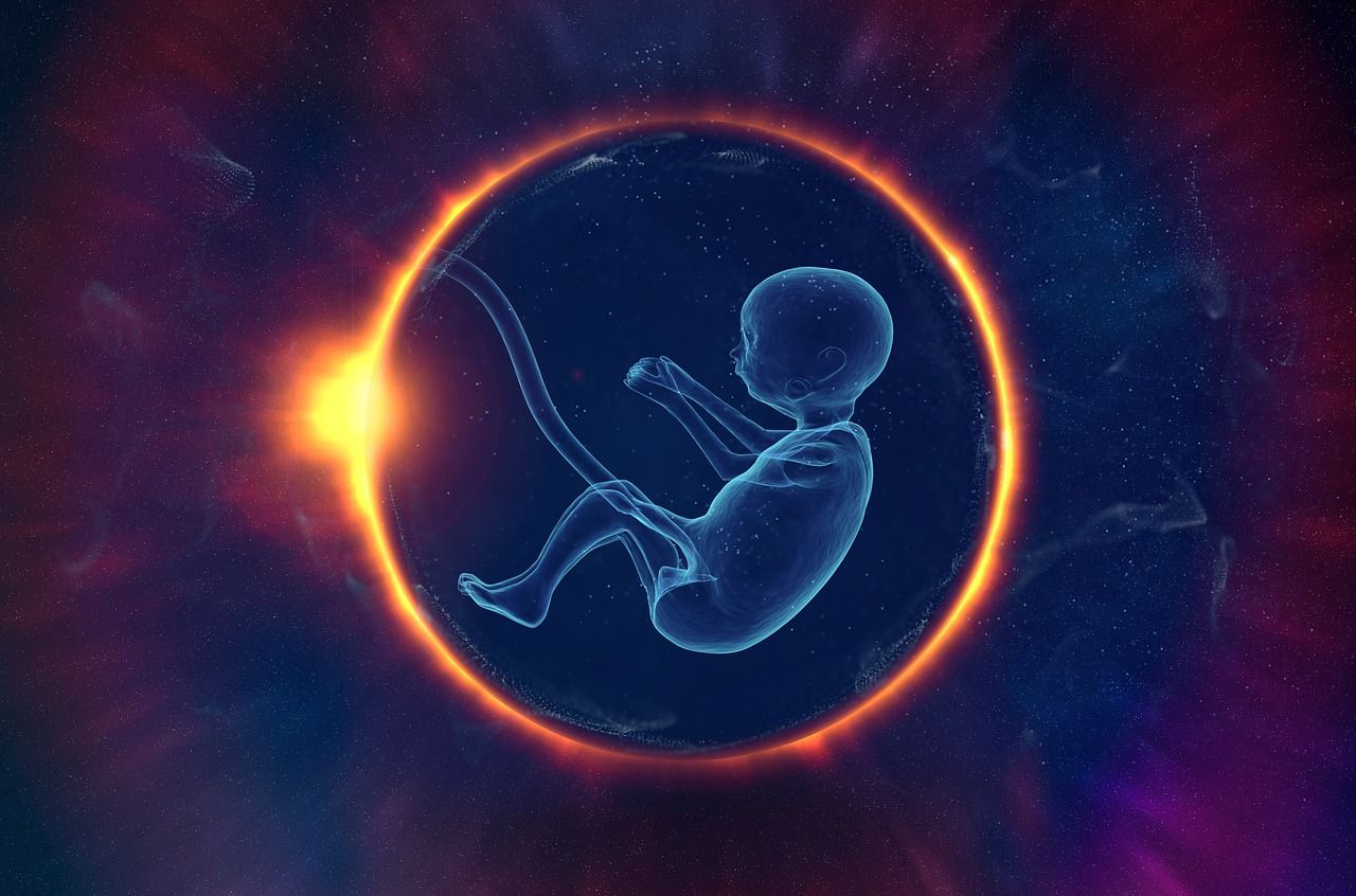 👶 Reproduction in space: an intriguing experiment...