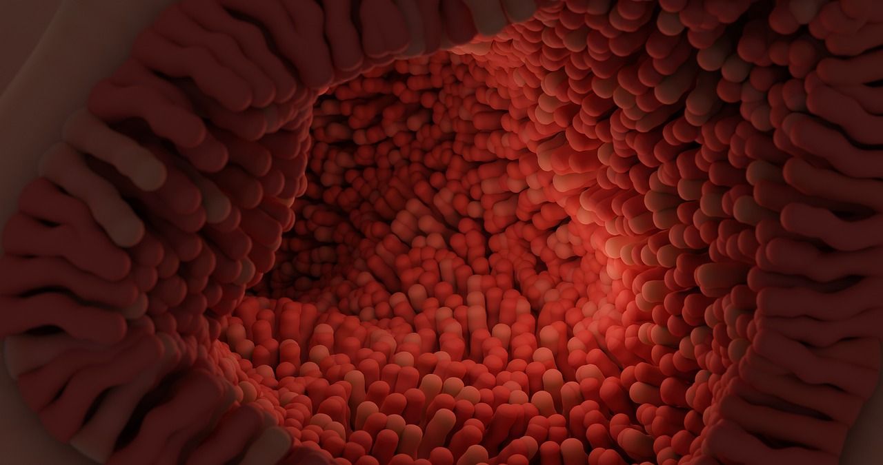 A link between stress, microbiota, and cancer?