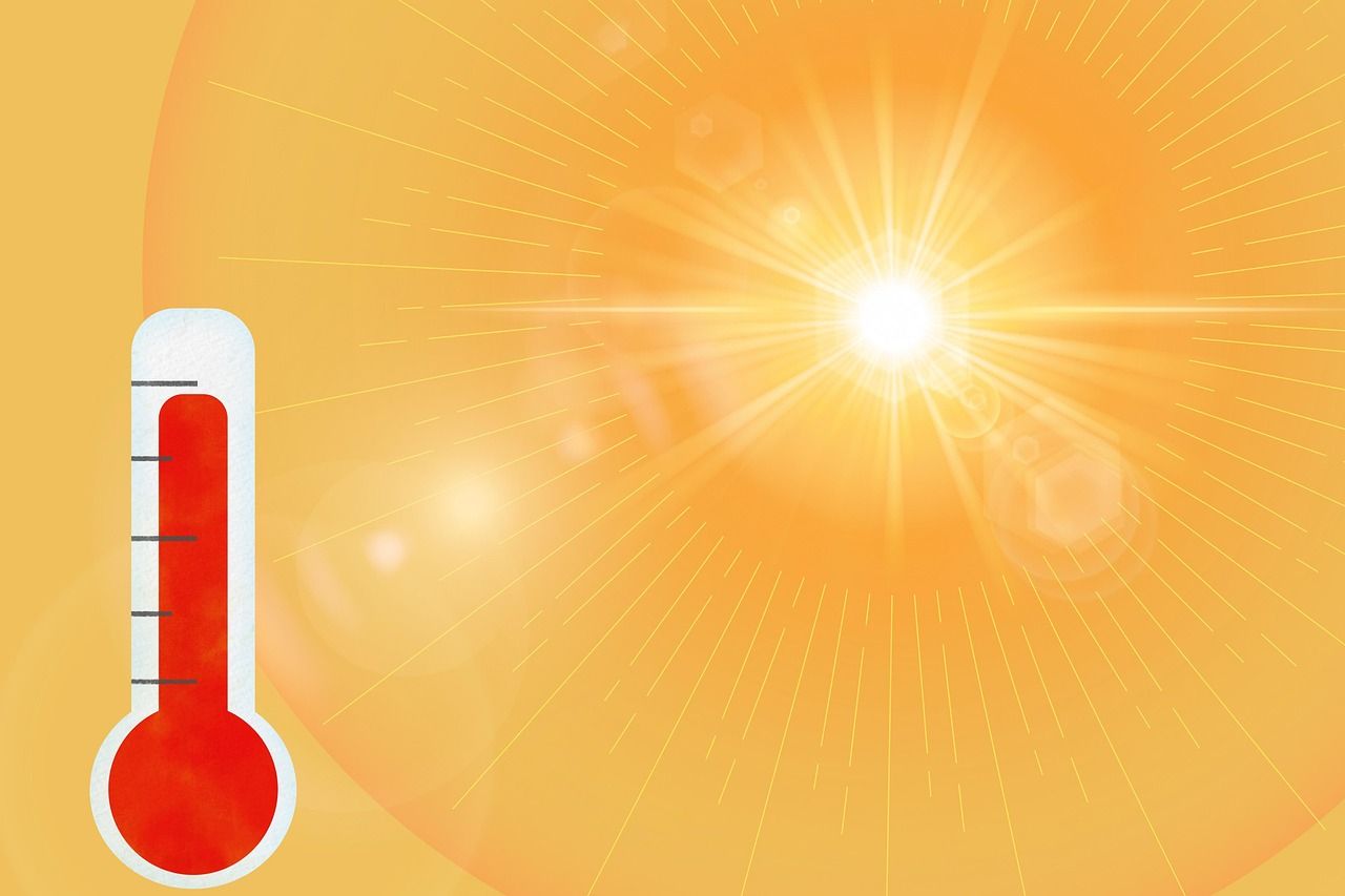 🌡️ C’est quoi une canicule exactement ?