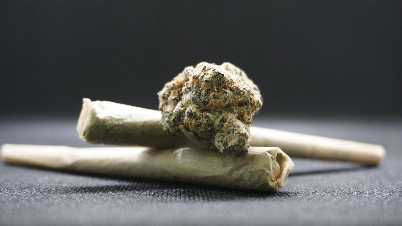🩺 Pesquisadores estabelecem ligação entre consumo precoce de cannabis e saúde deficiente