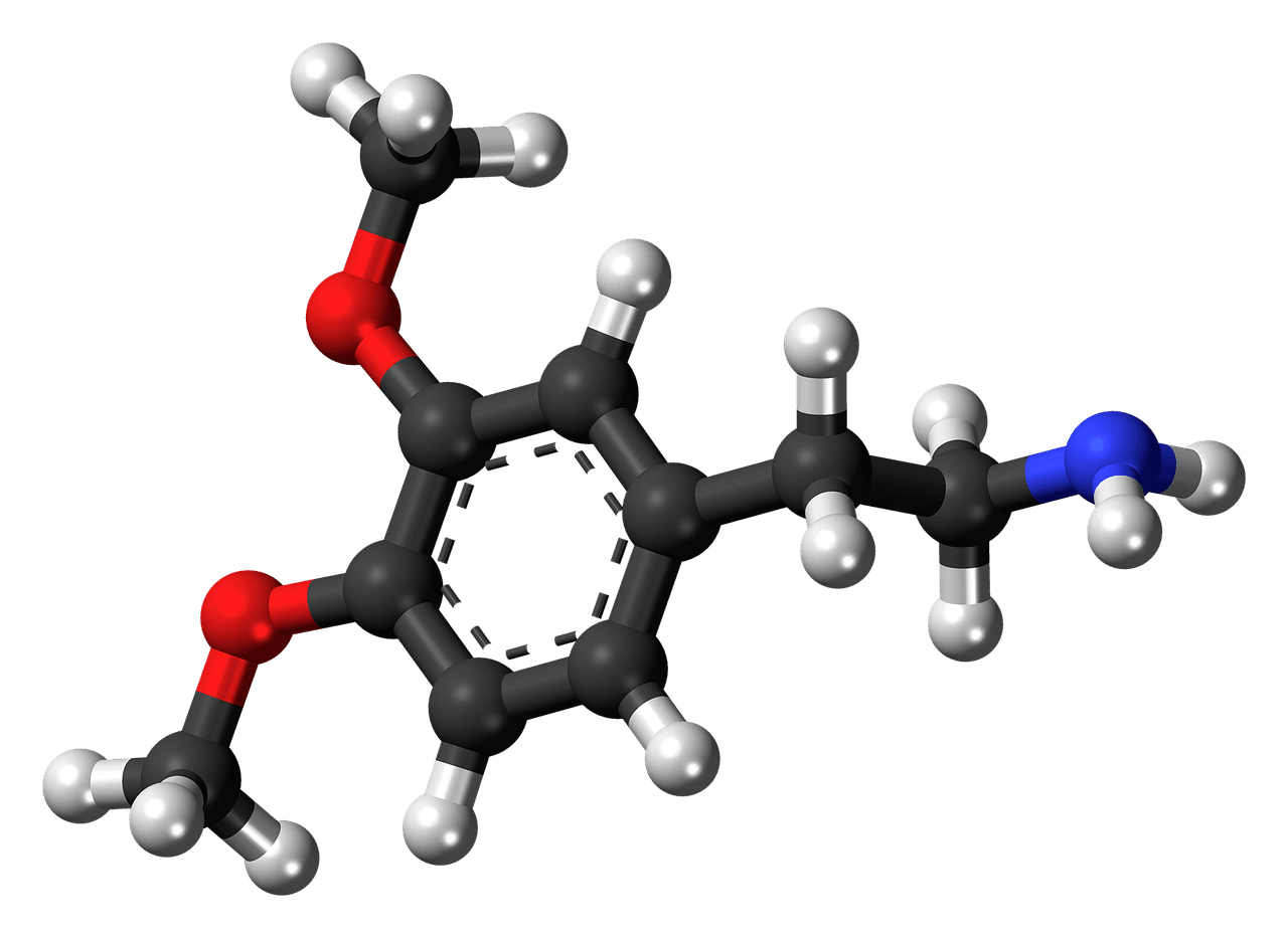 Une molécule carbonée.
