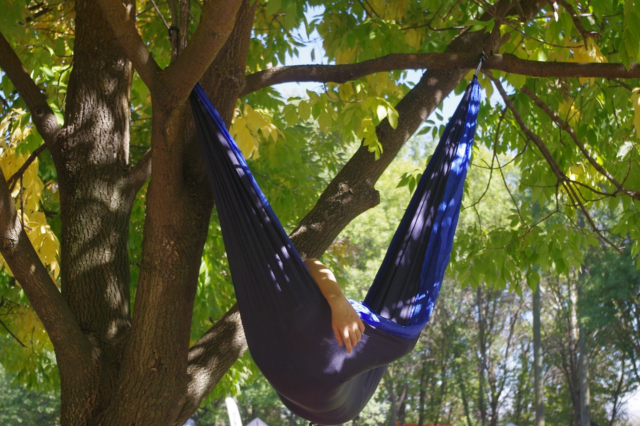 Pour avoir un plus gros cerveau, faites une sieste !