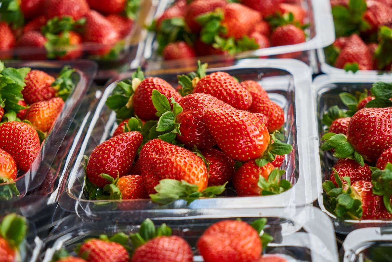 The study revealing alarming chemical contamination of our bodies from packaging
