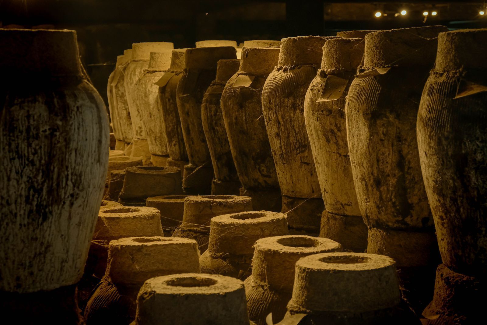 Une collection d'amphores antiques en argile