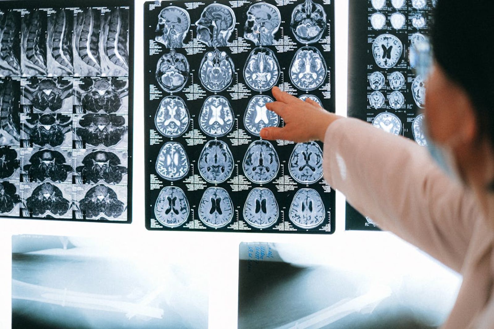 How does the brain command our body to move?