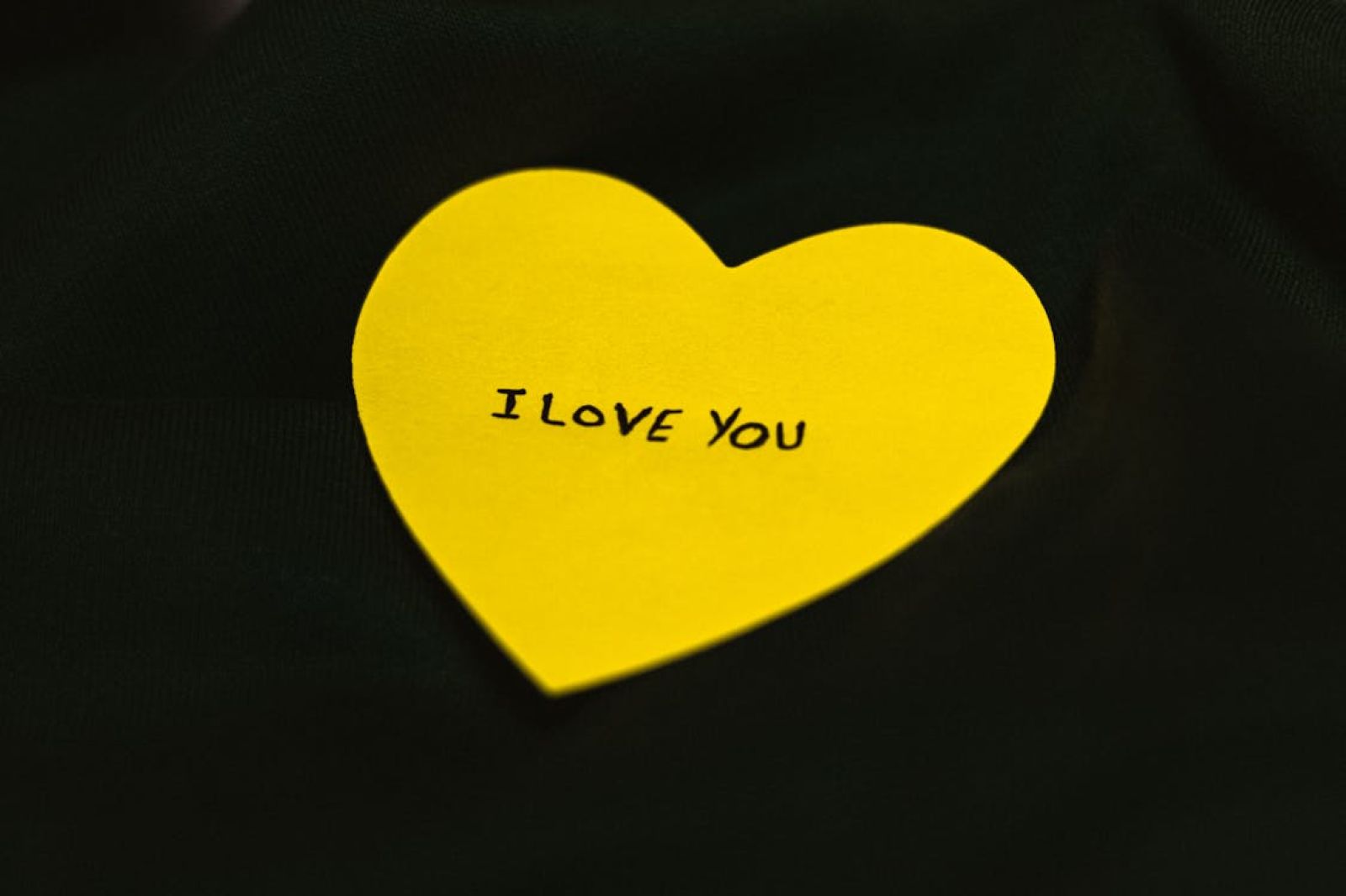 Love is more a brain matter than a heart one: here's how it works