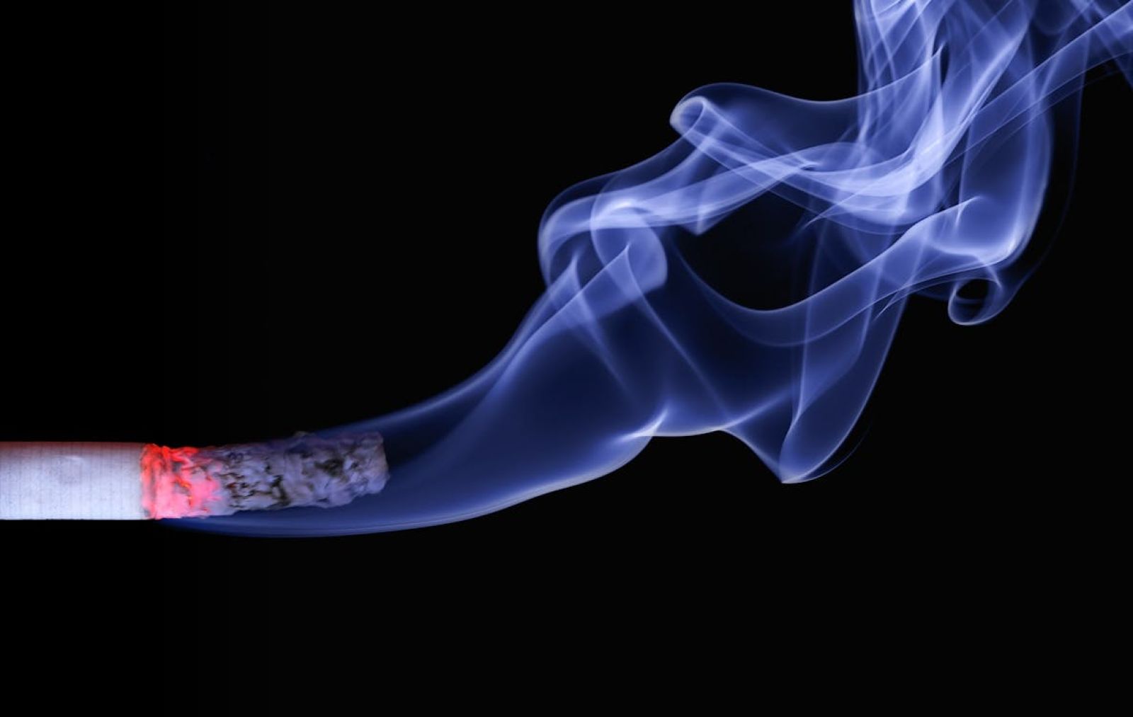 A pegada química do tabaco deixada em nossos ossos 🦴