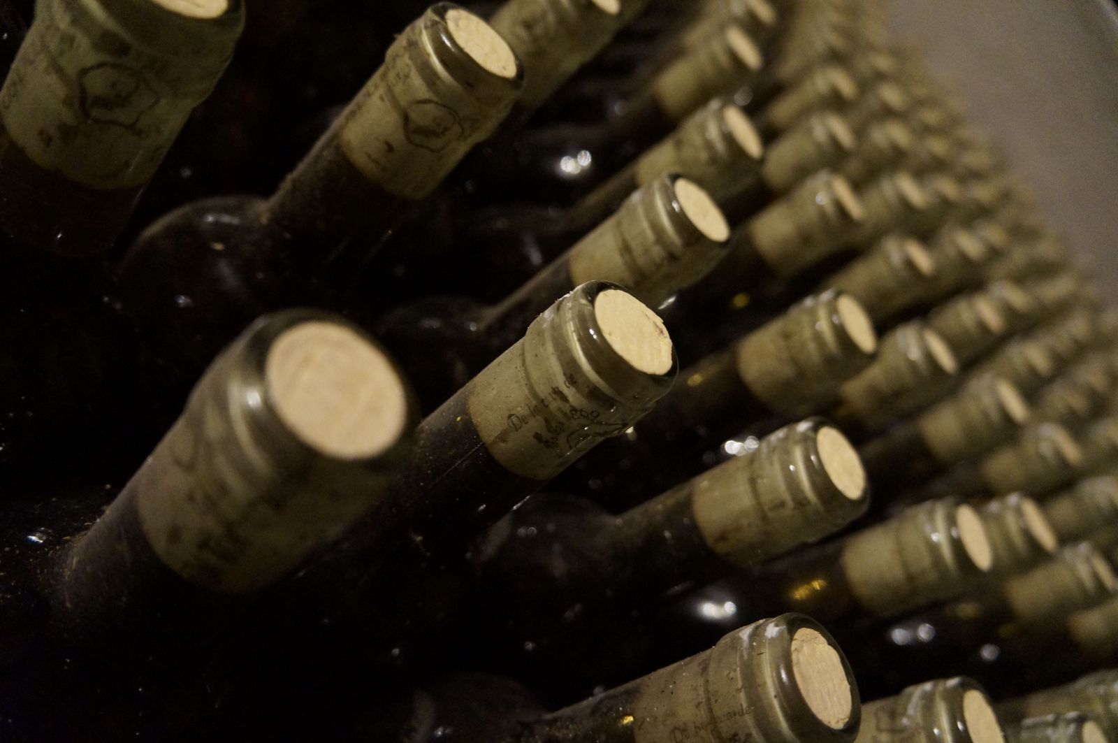 🍷 Le bouchon en liège, régulateur d'un vin parfait