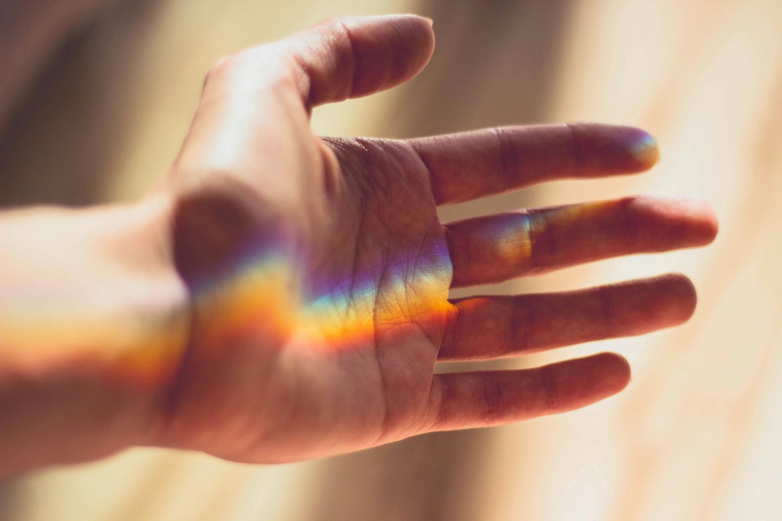 🖐️ The origin of our fingers