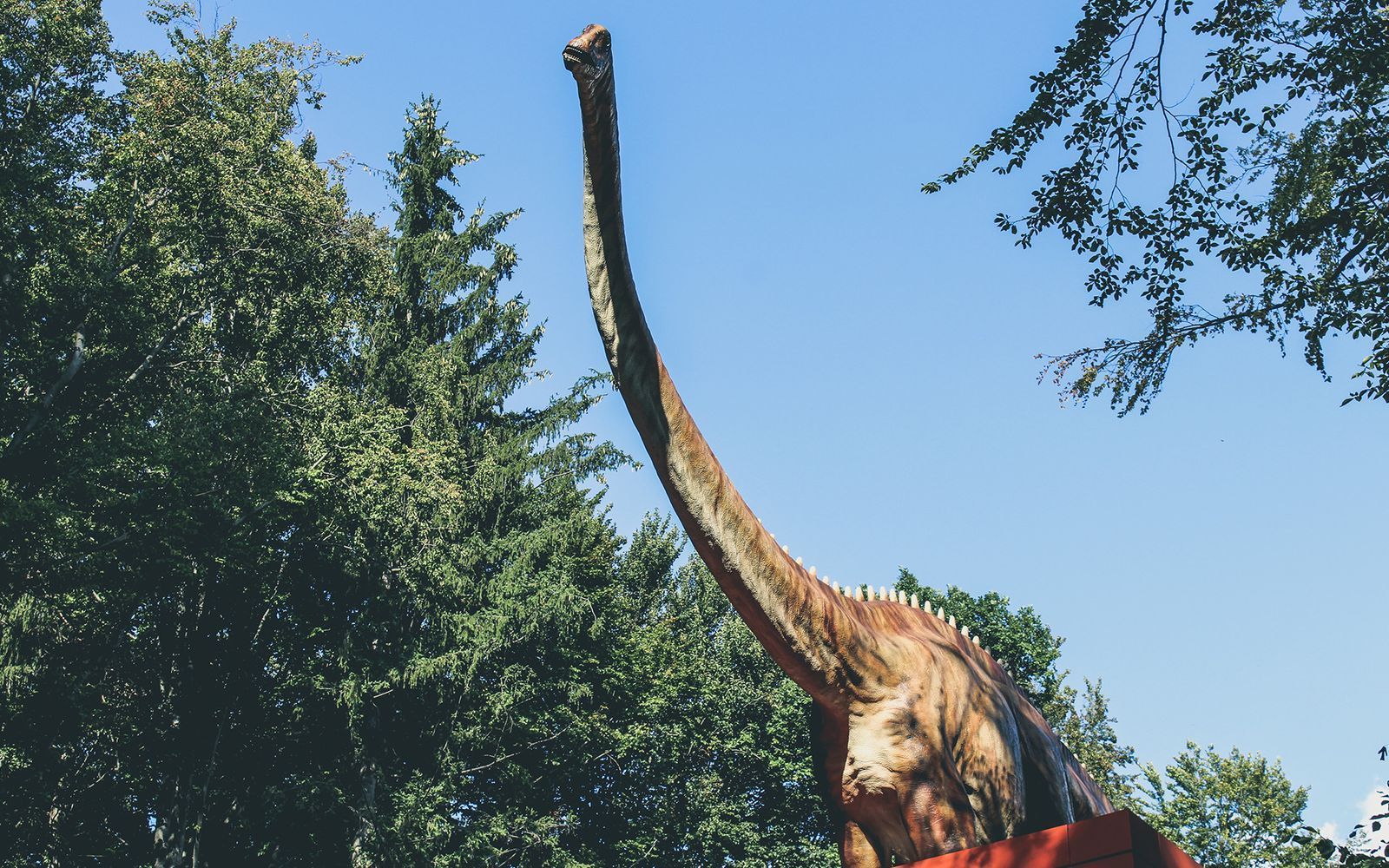 Reconstitution d'un diplodocus.