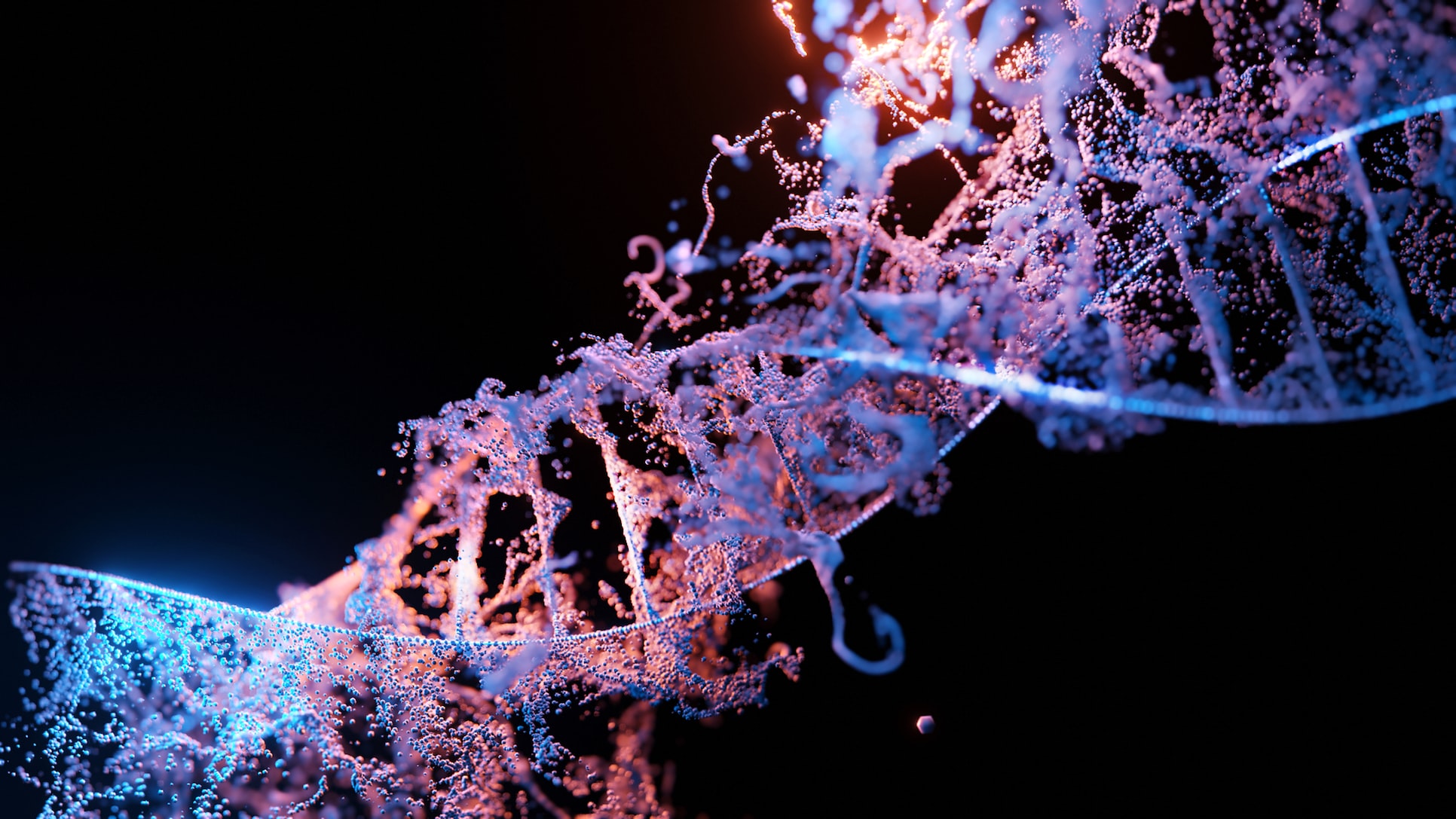 Quand les chromosomes s’emmêlent