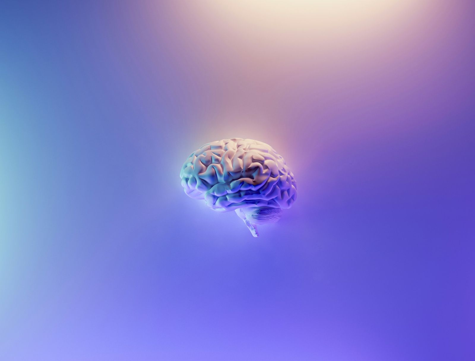 🧠 Après un long vol spatial, le cerveau des astronautes n'est plus au même endroit