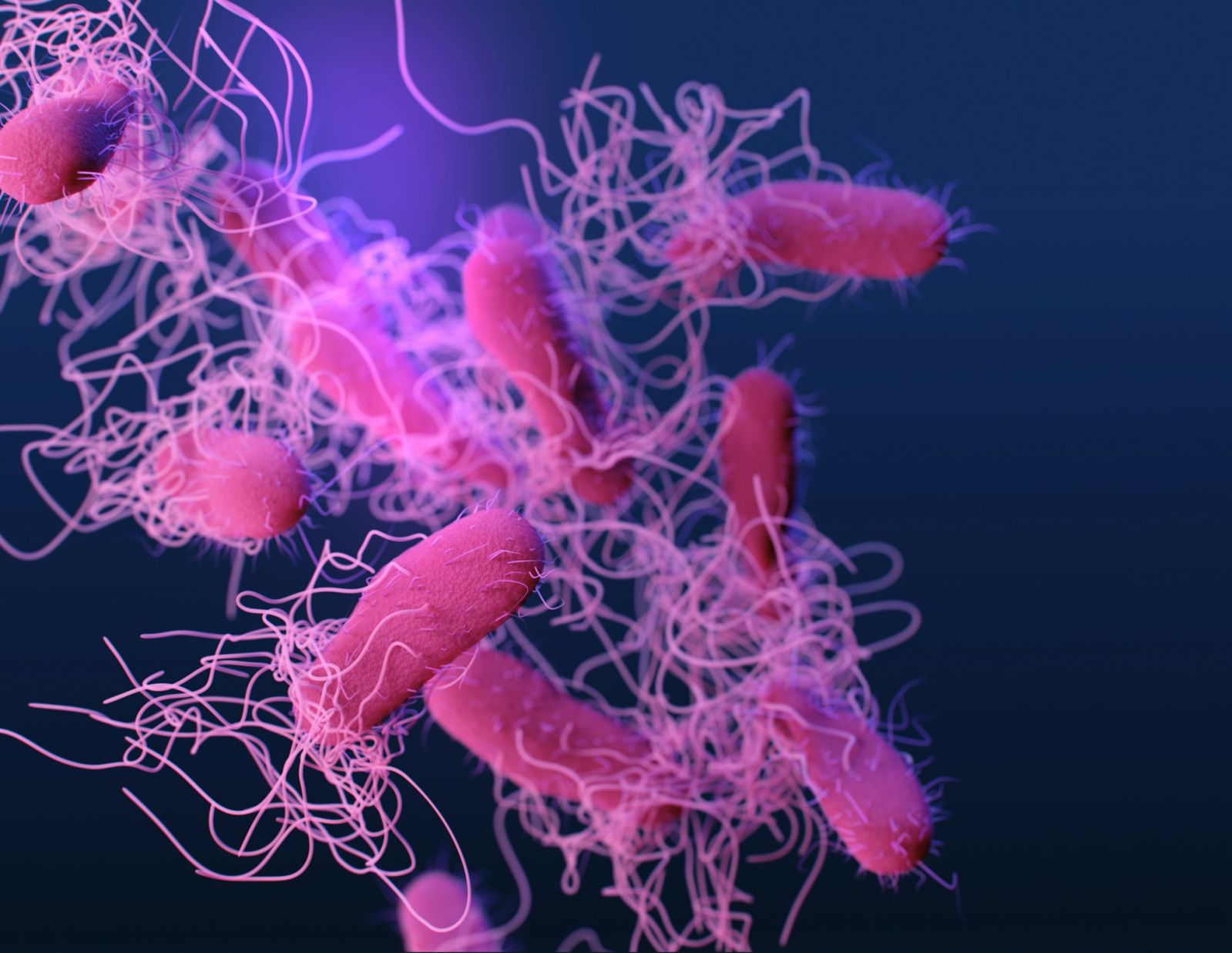 🔬 Um aditivo alimentar, solução contra a resistência aos antibióticos?