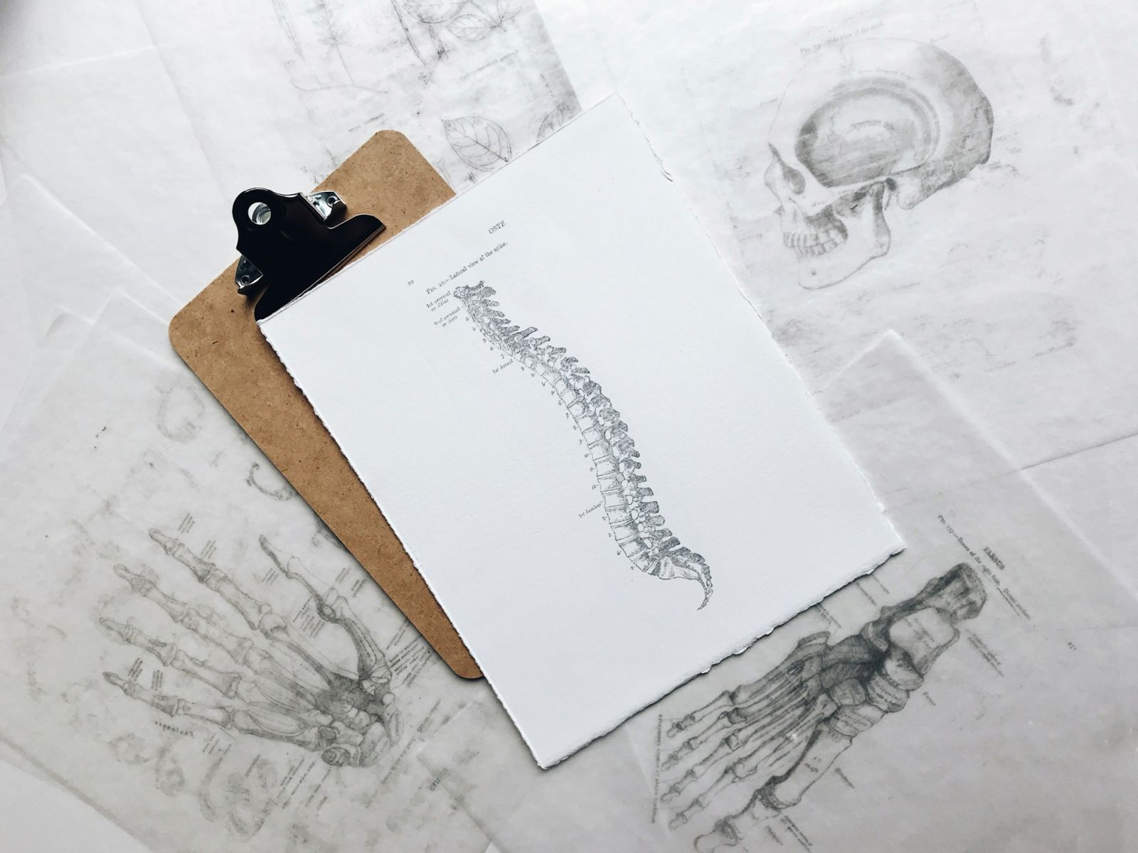 🧬 O corpo humano: uma maquinaria tão imperfeita