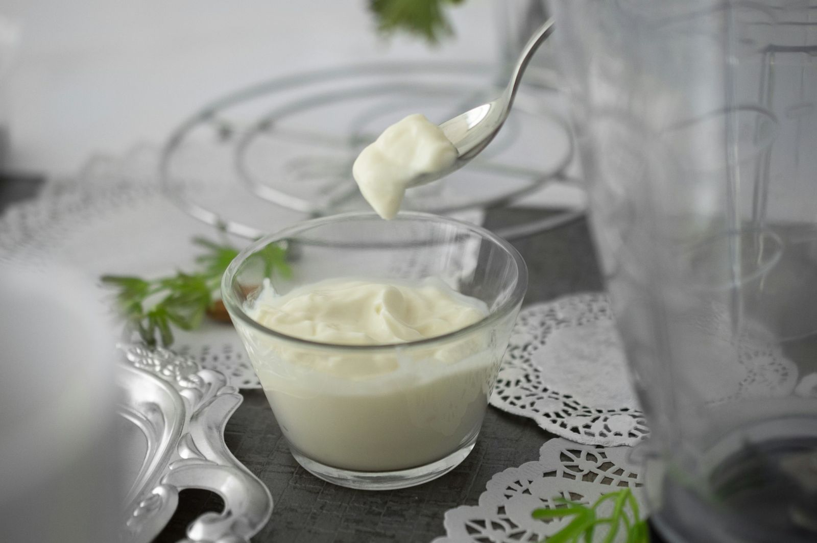 Descoberta: o iogurte reduz o risco de câncer 🥄