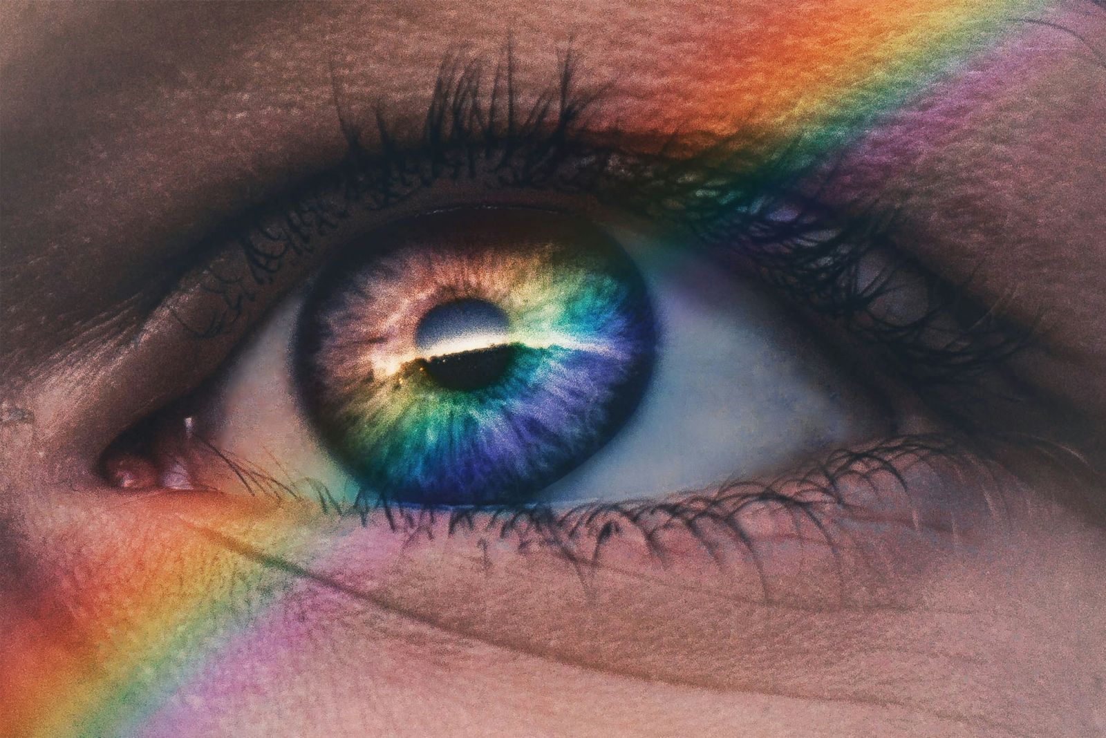 🧠 Notre cerveau nous trompe : il modifie ce que nos yeux voient