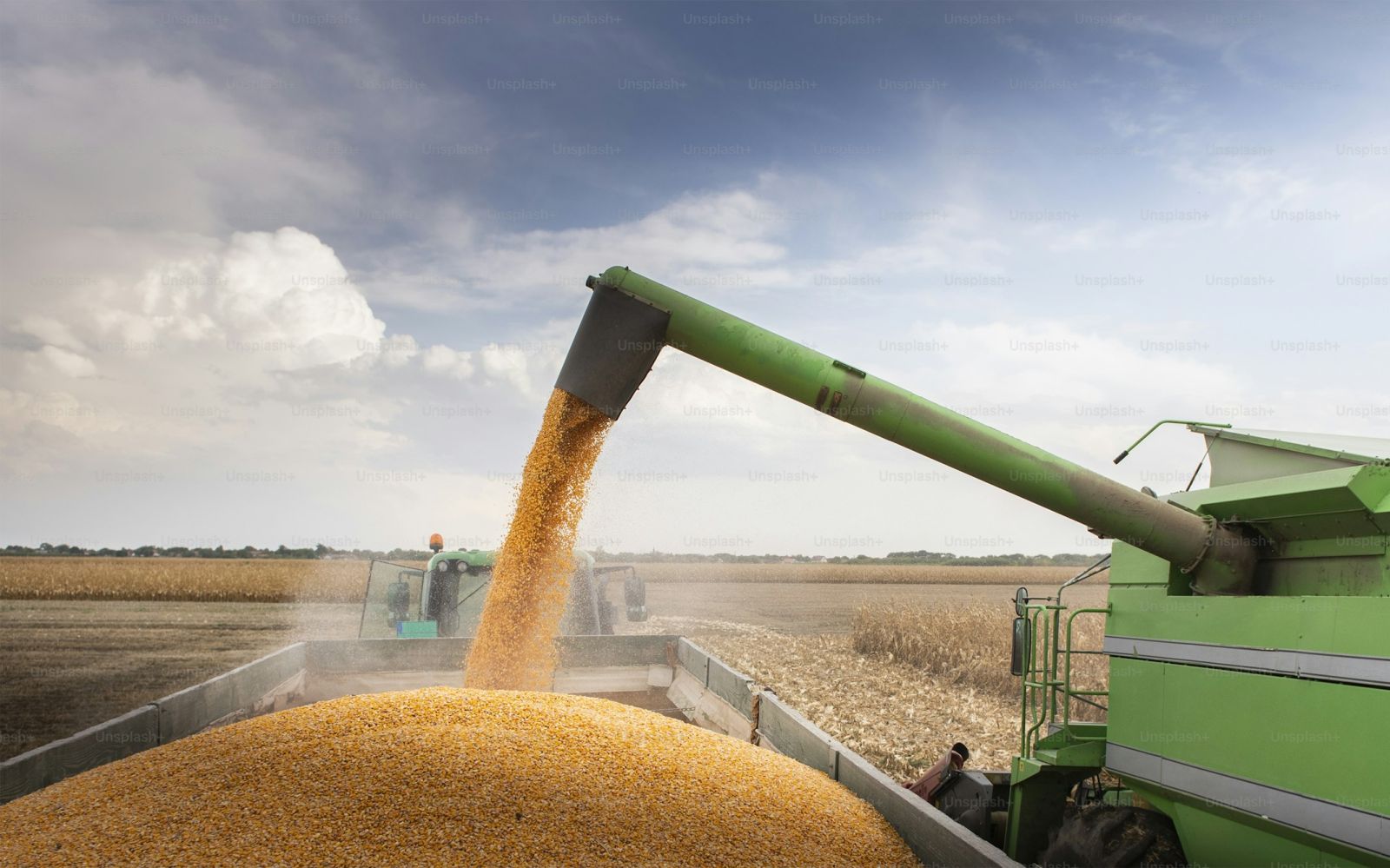 Why do harvests take place in the autumn?