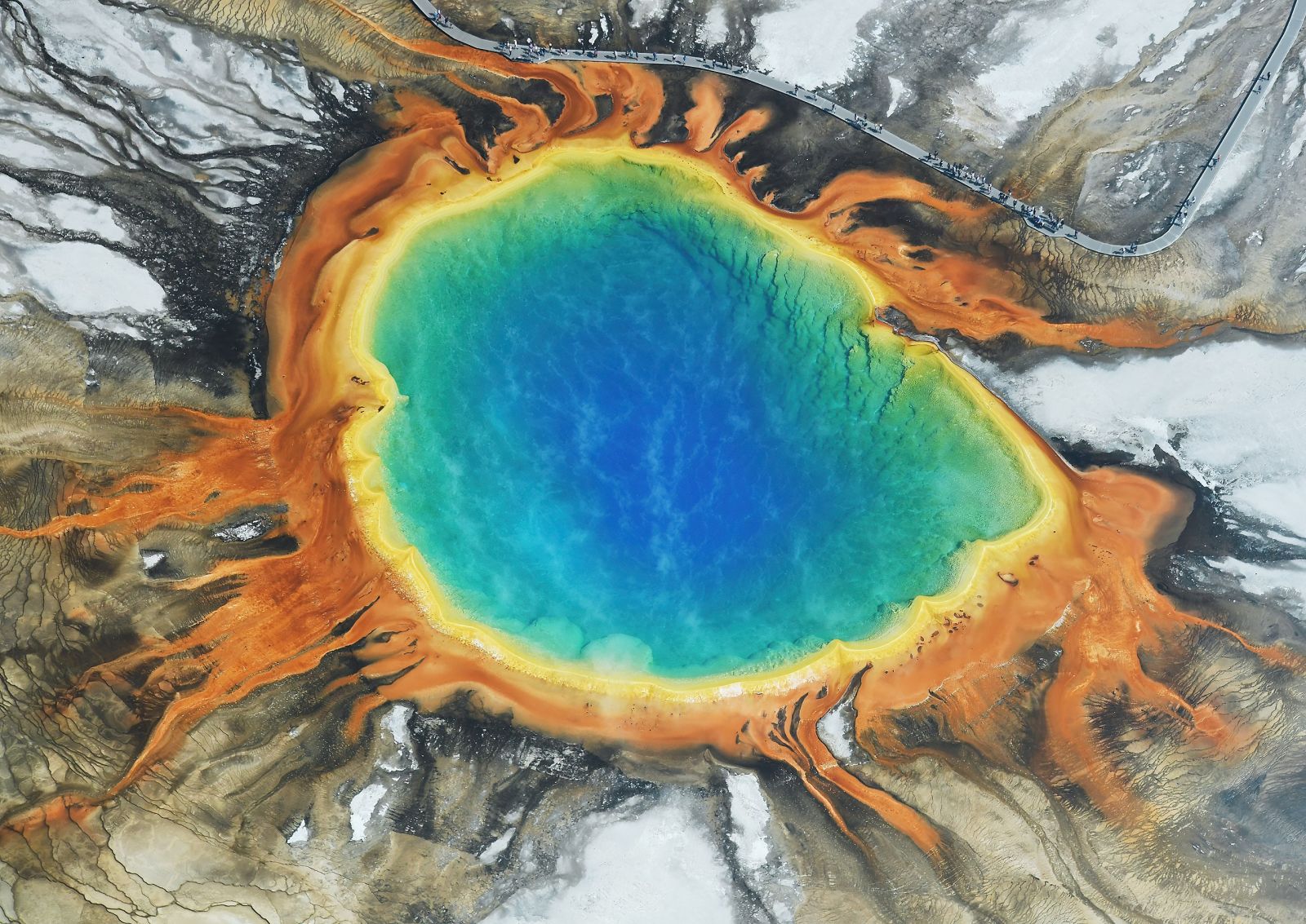 🌋 Découverte majeure sous Yellowstone grâce à l'IA