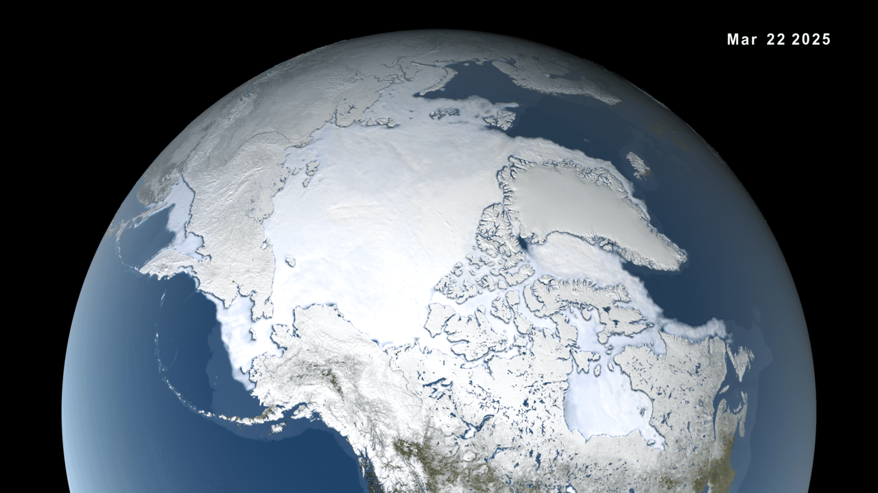 Ê La diminution de la banquise arctique reprend après une brève pause