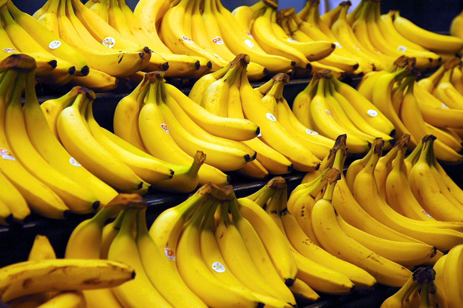 🍌 Ce gène pourrait sauver les bananes