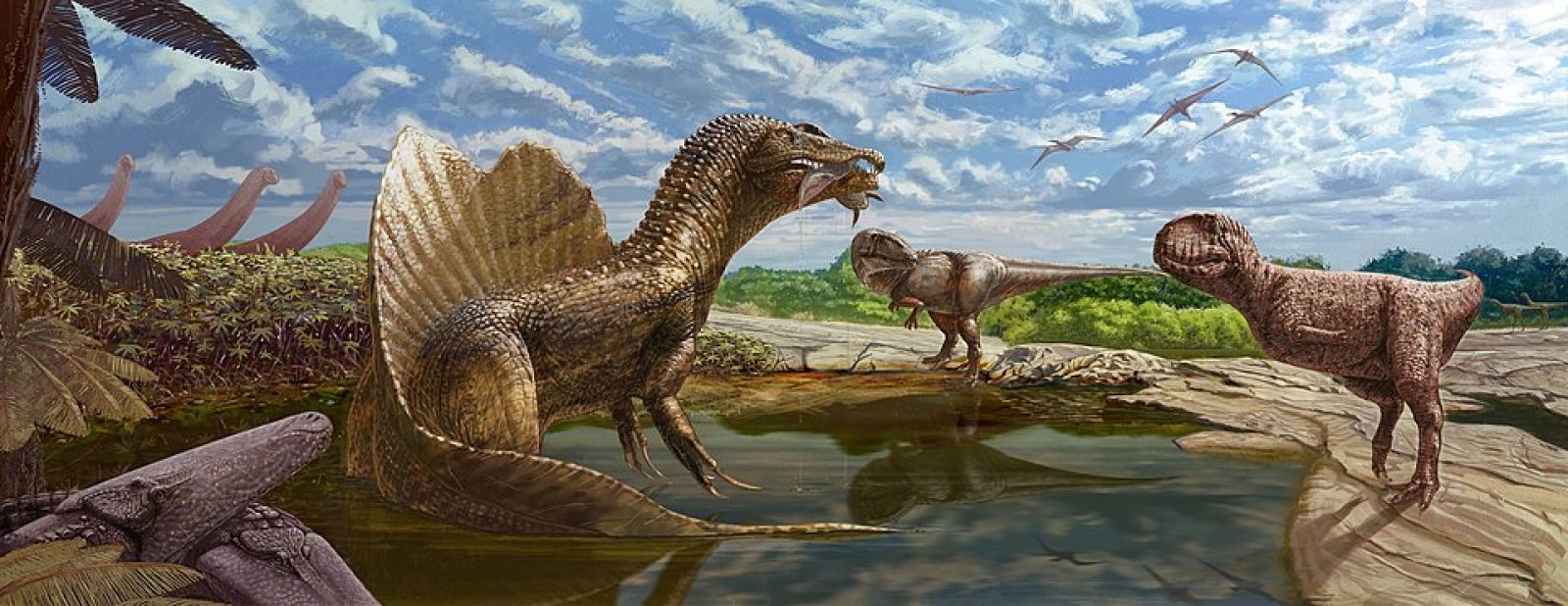 🦖 Certains dinosaures carnivores préféraient déchirer leurs proies plutôt que de les broyer