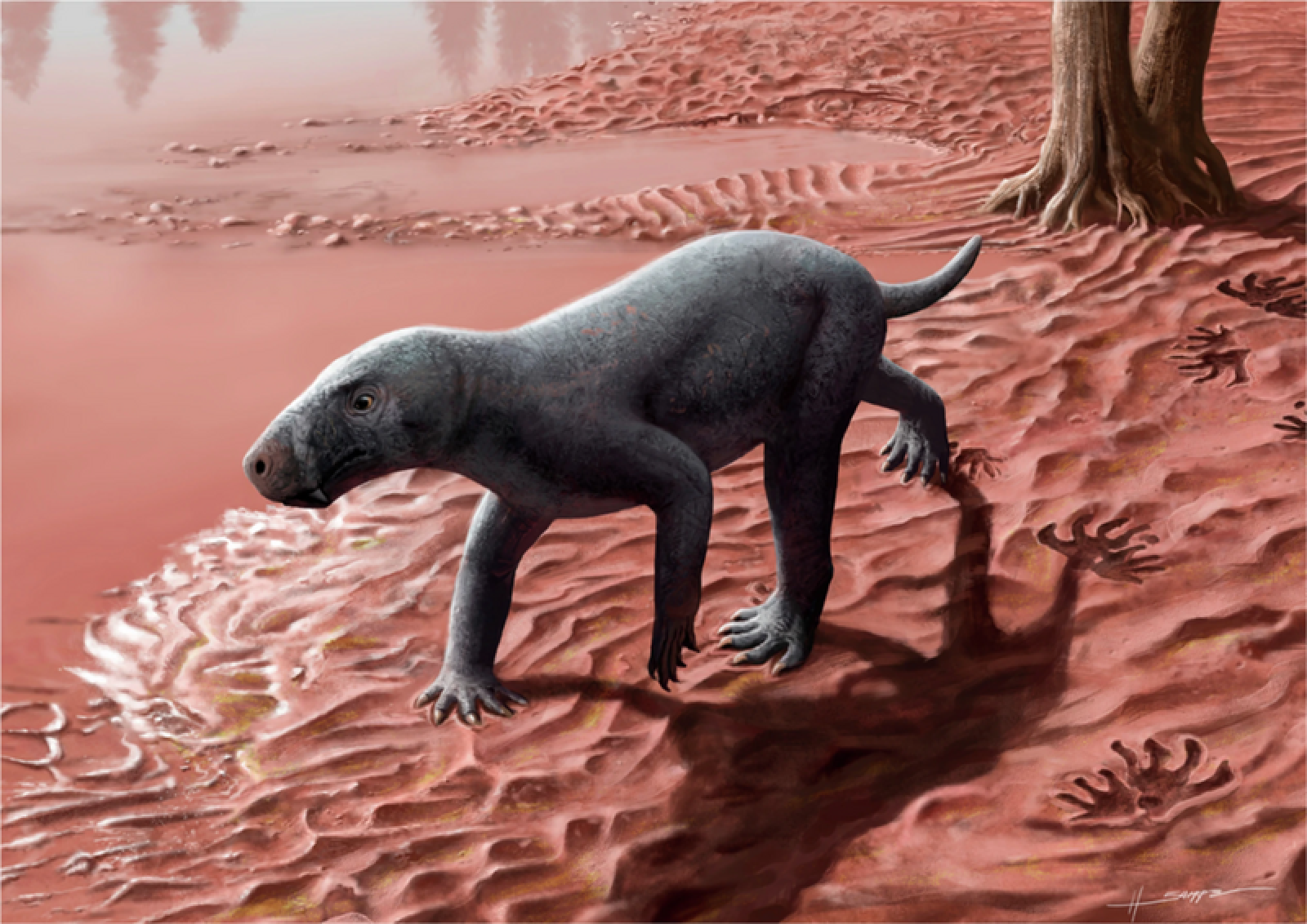 Découverte fossile du plus vieil ancêtre des mammifères 🦴