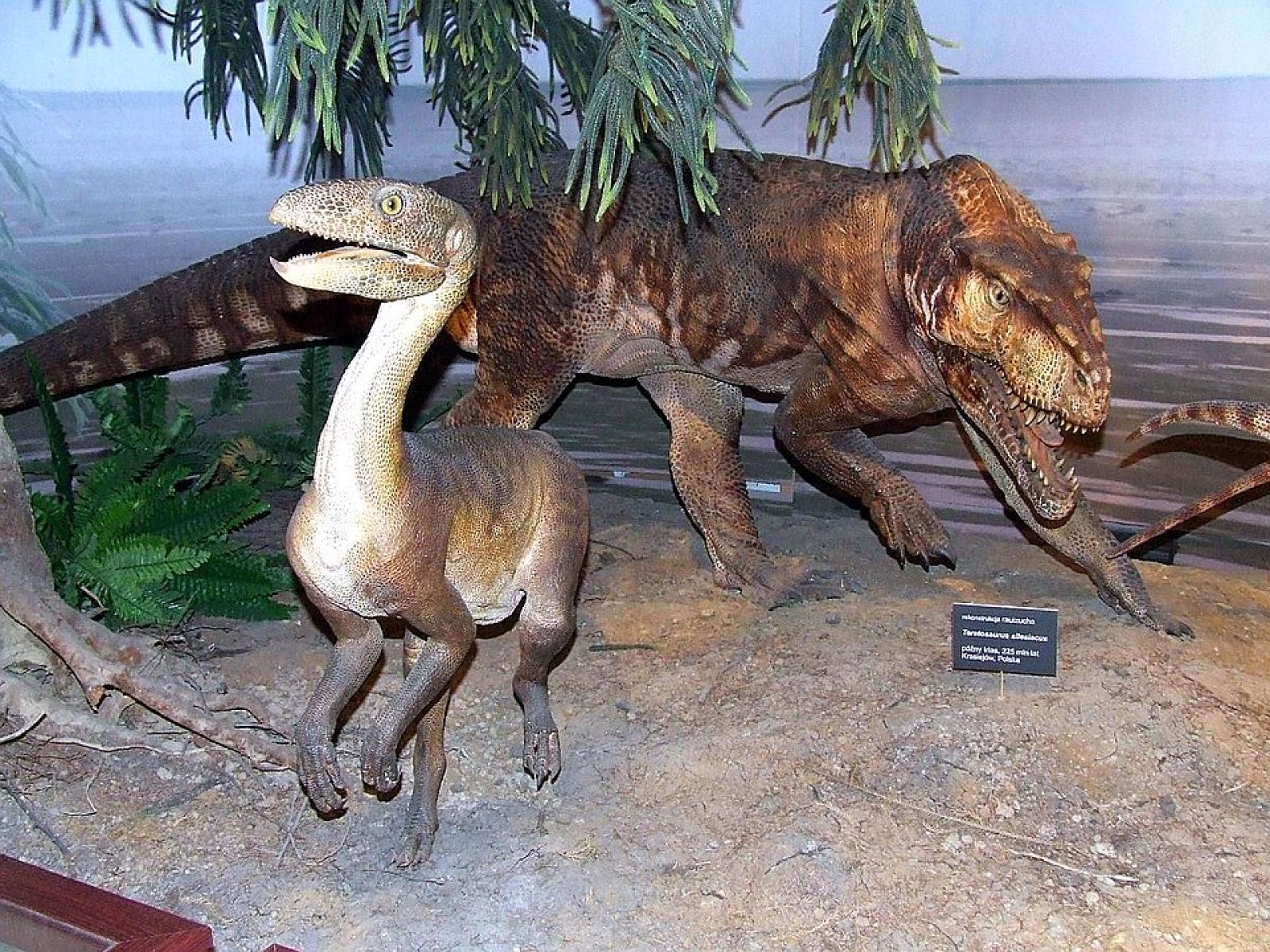 🦖 Ce fossile géant révèle l'origine des premiers dinosaures