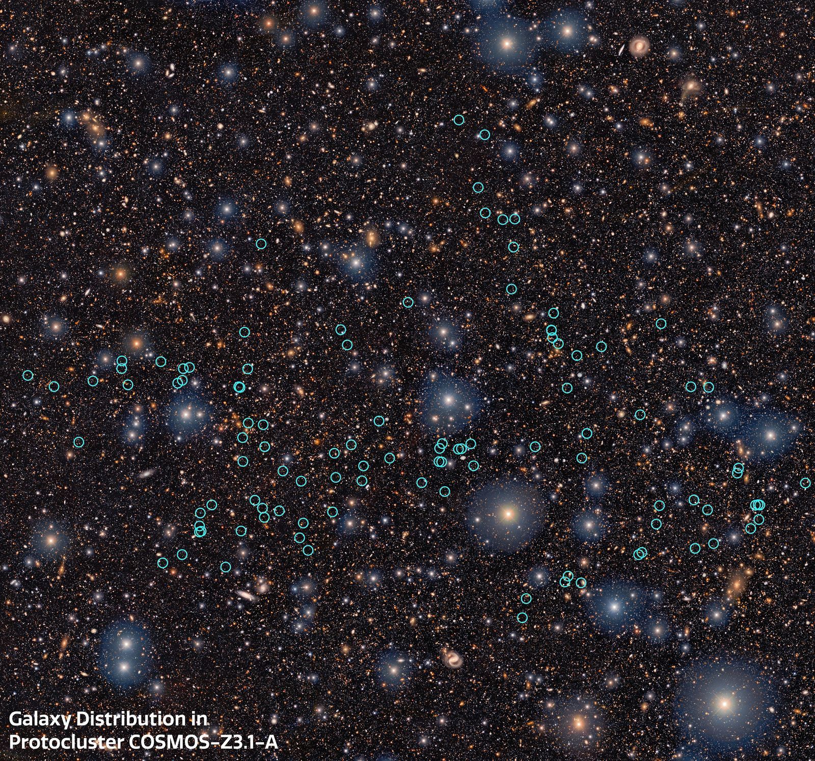 Vue annotée du champ de COSMOS-z3.1-A, montrant la position des principales concentrations de galaxies du proto-superamas.