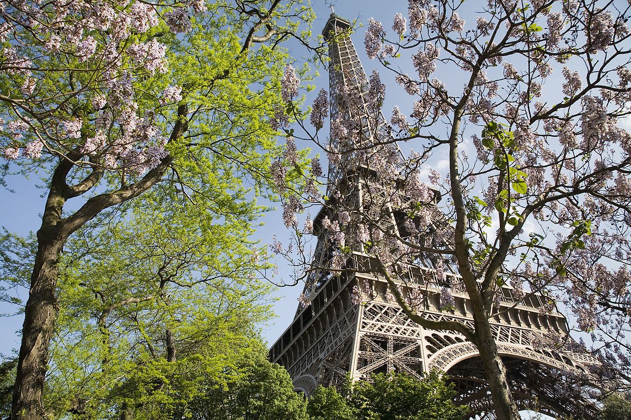 🌡️ À Paris, un lien entre végétation et mortalité pendant les fortes chaleurs