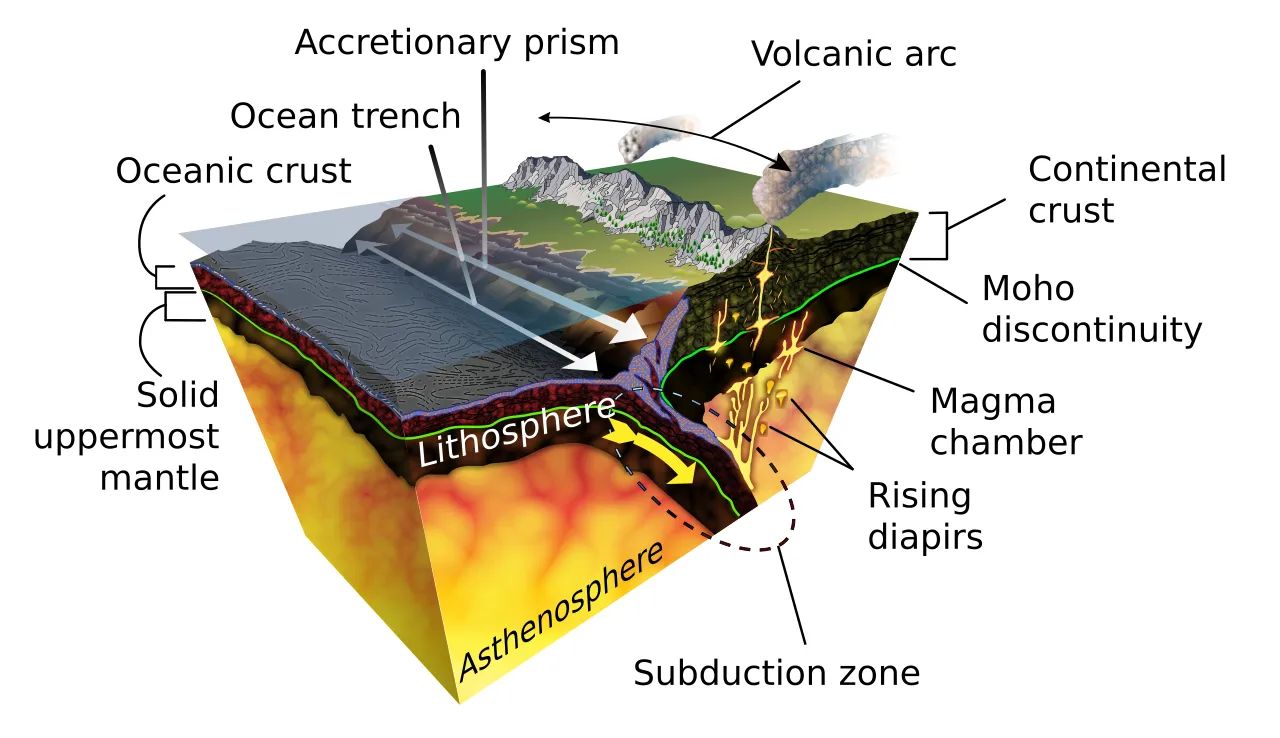 Schéma du processus de subduction, où une plaque océanique plonge sous une autre plaque tectonique.