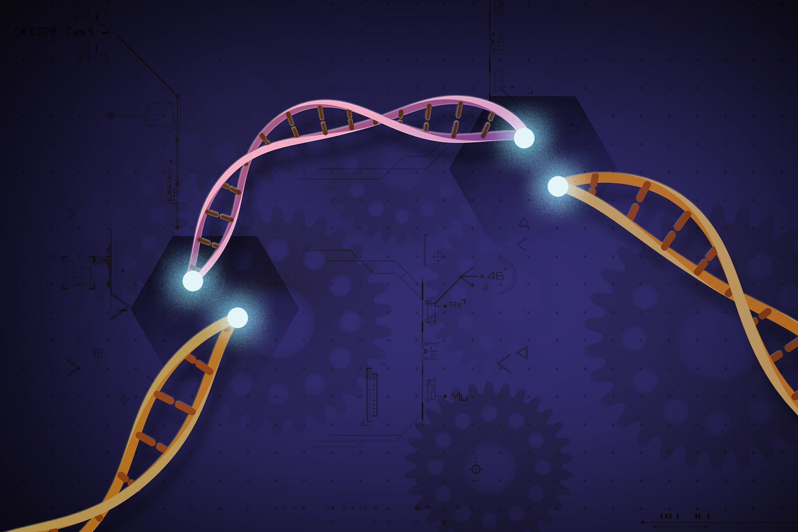 ì CRISPR permet de cibler et détruire l'ADN de cellules cancéreuses !