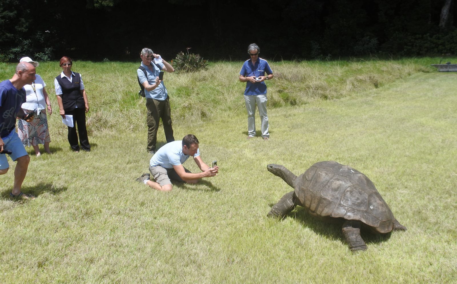 Des visiteurs photographient Jonathan, la tortue géante vivant à Plantation House sur l’île de Sainte-Hélène.