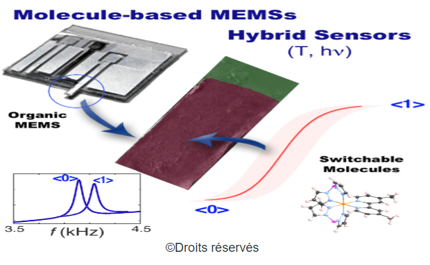 Une nouvelle gamme de détecteurs micrométriques
