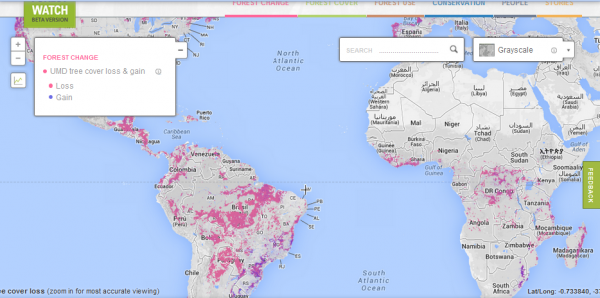 Un système mondial de surveillance de la déforestation