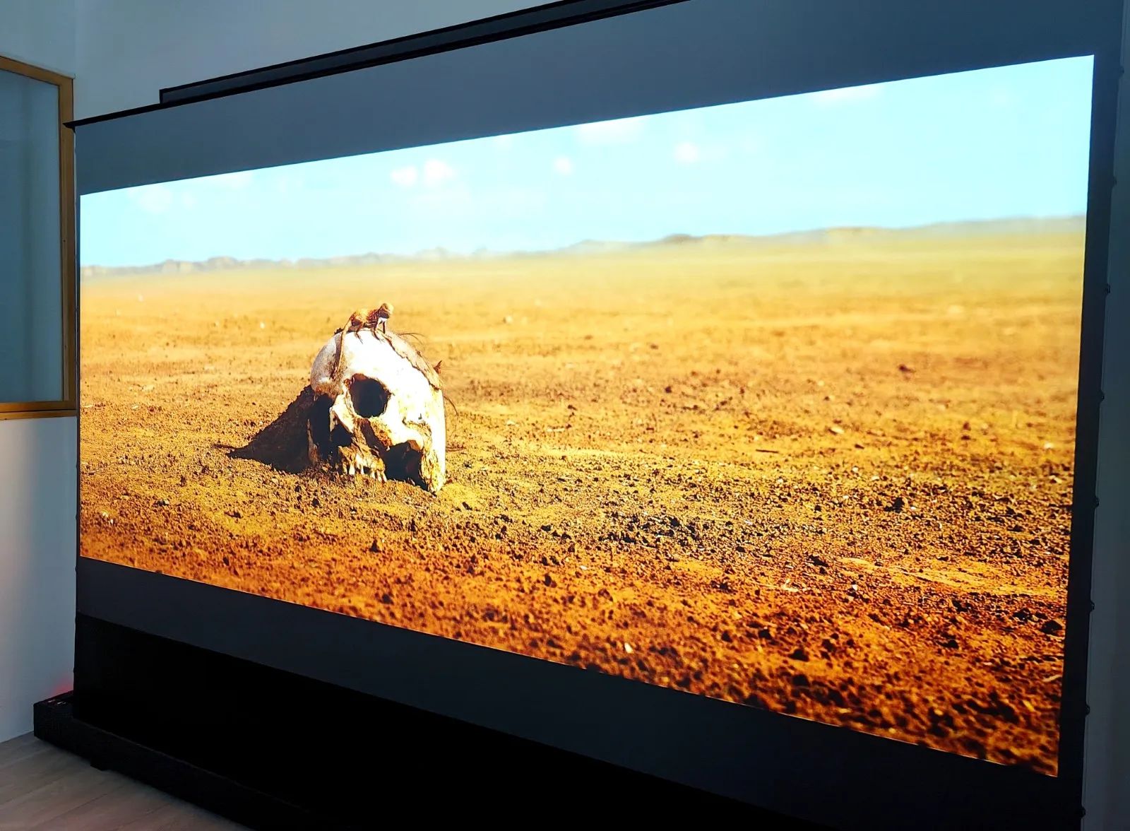 Nothing Projector Black Series 120" motorisé : l’écran géant pour projecteur UST