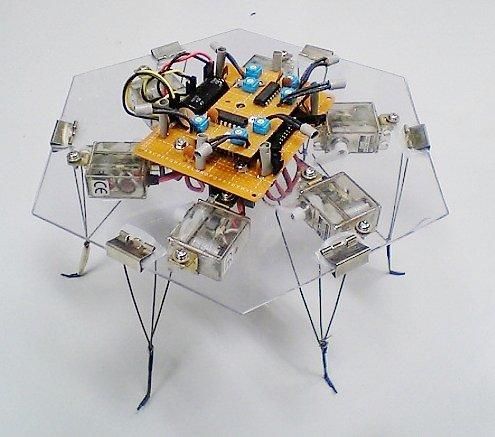 Un robot contrôlé par une moisissure !