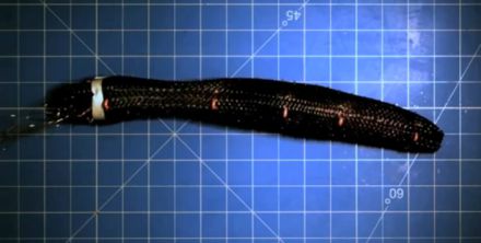 Vidéo: Invention de Meshworm, un robot-lombric