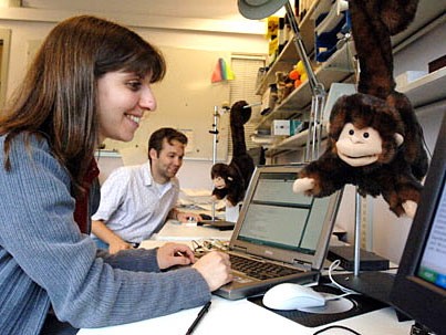 Des singes électroniques pour communiquer plus spontanément