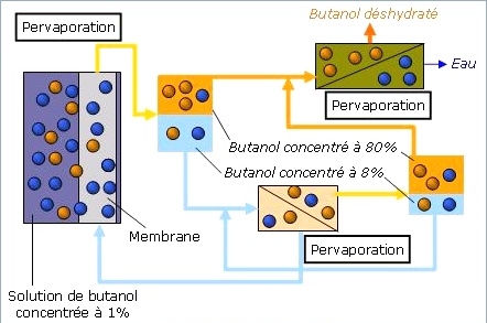 Simplification du procédé de fabrication du bio-butanol