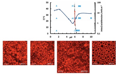 De nouvelles molécules pour stabiliser des émulsions multiples