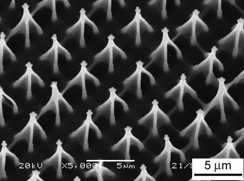 HAIRS: un matériau hybride similaire à un muscle artificiel