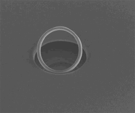 Le plus petit anneau de diamant du monde