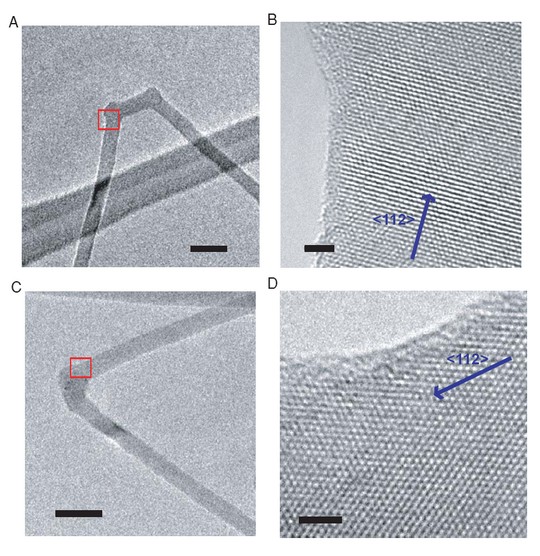Sur écoute ! Des nanofils sondent des cellules vivantes