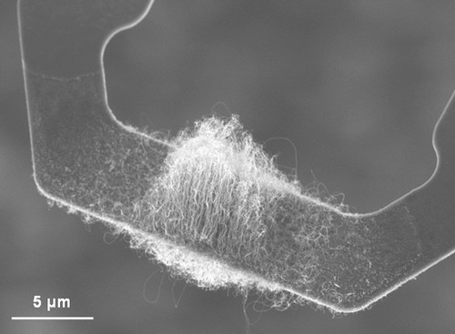 Localiser et contrôler la croissance de nanotubes de carbone