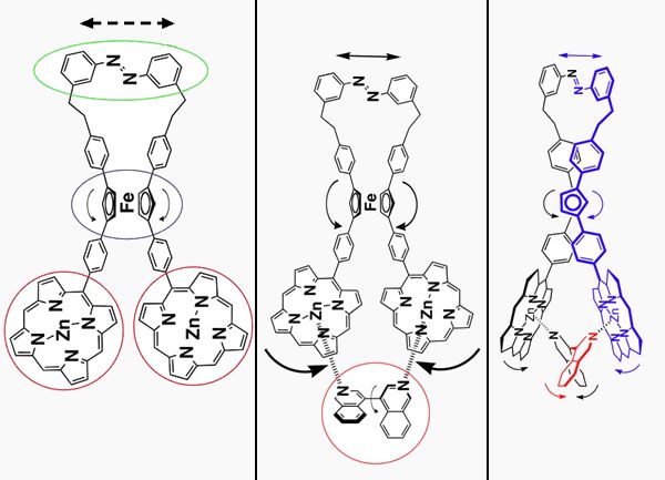 Des pinces à l'échelle nanométrique