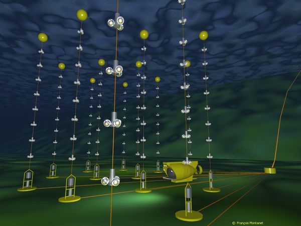 Un détecteur de neutrinos ébloui par des organismes abyssaux