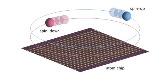 Une phase exotique sur une puce atomique