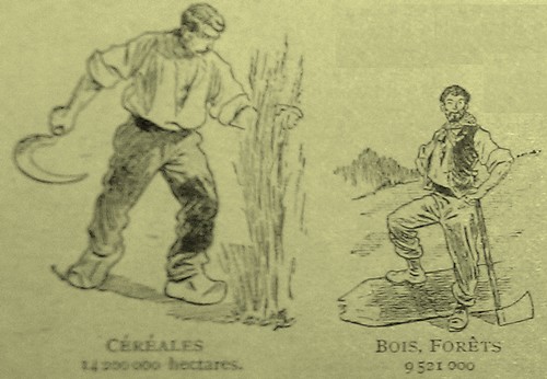 Rétro 1905 : Divisions agricoles de la France