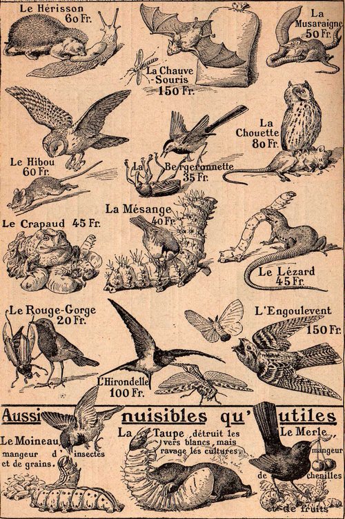 Rétro 1909: Petits défenseurs de l'agriculture